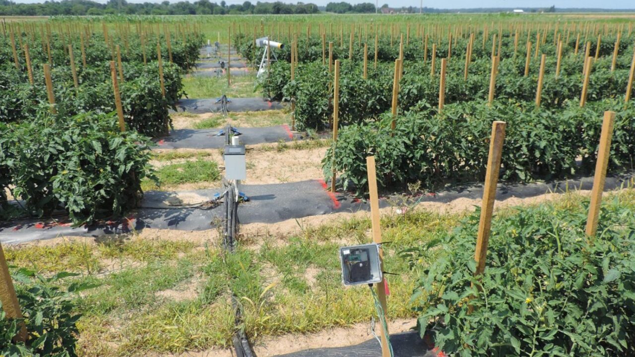 How Precision Irrigation Farming Could Benefit New America